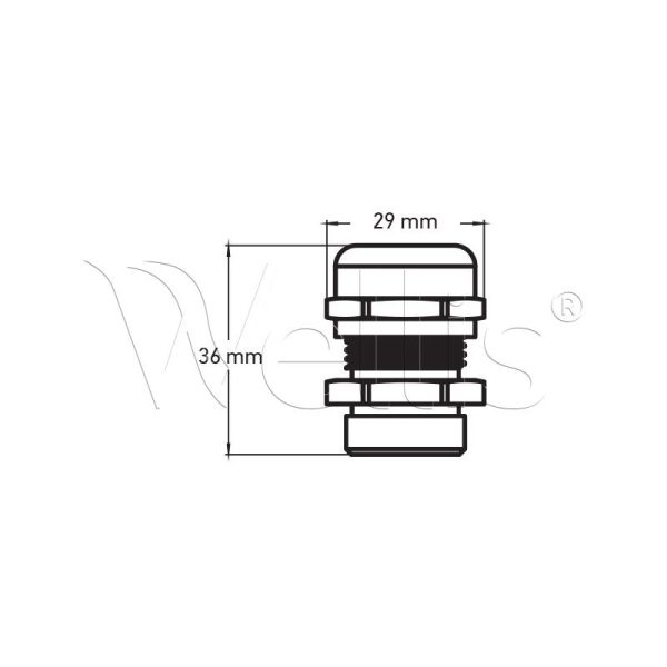 Cable gland PG21 Wellisparts 3