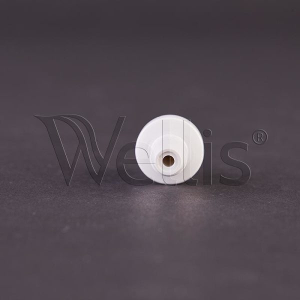 Check valve for aromatherapy Wellisparts 2