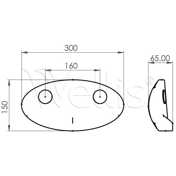 PILLOW – 300 × 65 × 60 – oval Wellisparts 5