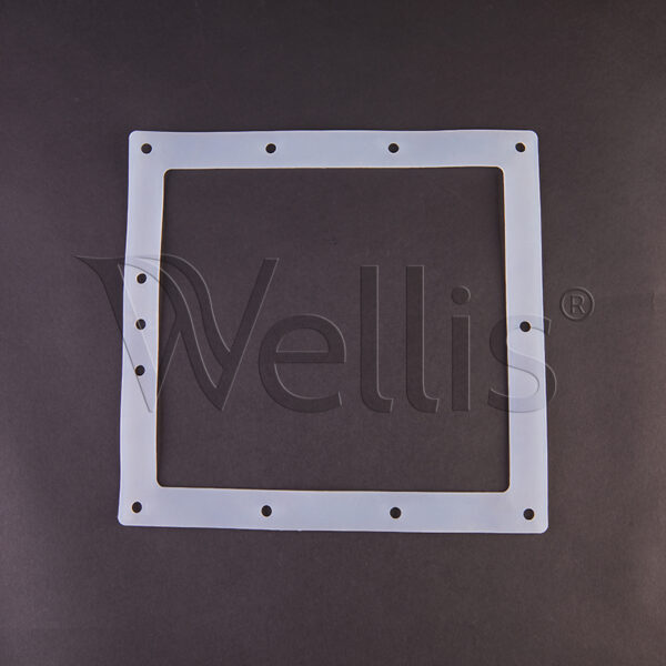 Rubber Seal for Wall Filter Housing 1 Wellisparts